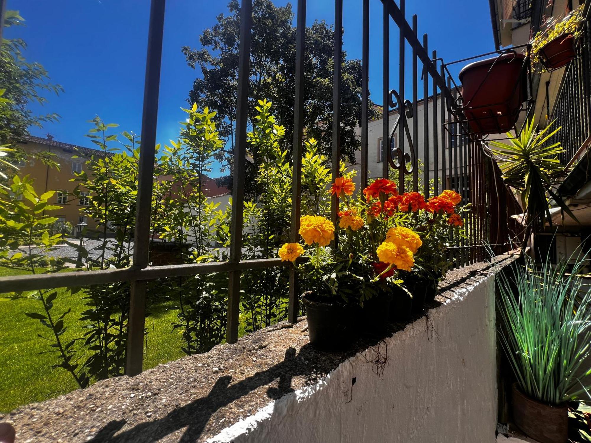 Appartamento Casa In Pelleria Lucca Esterno foto